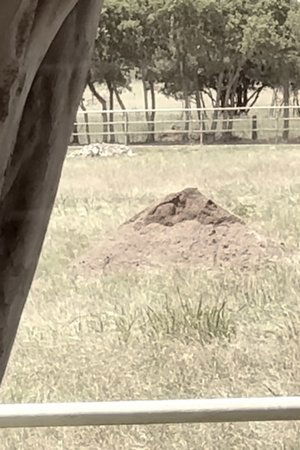 Dirt