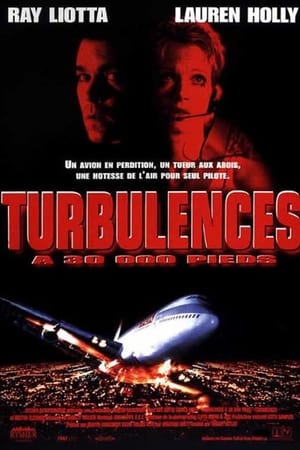 Turbulences à 30 000 pieds Streaming VF VOSTFR