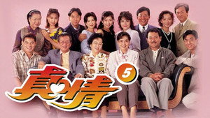 真情