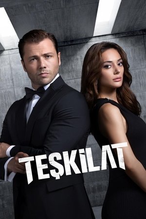 Póster de la serie Teşkilat