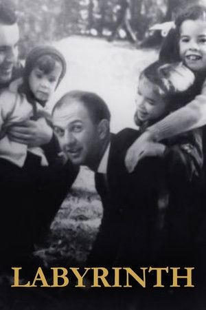 Default Netflix logo