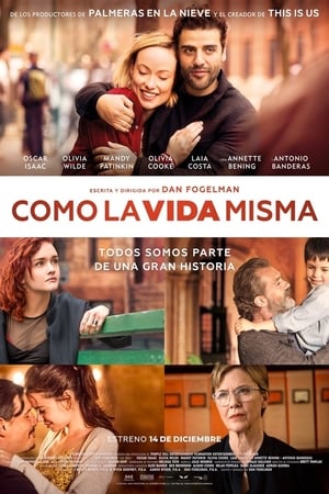 Póster de la película Como la vida misma