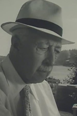 Default Netflix logo