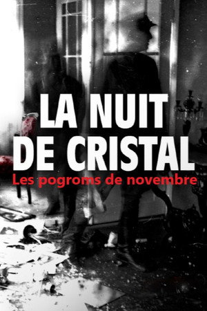 Póster de la serie La Nuit de cristal : Les pogroms de novembre