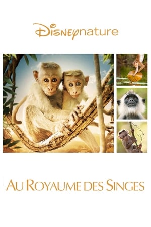 Au Royaume des singes Streaming VF VOSTFR