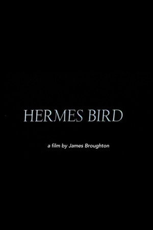 Hermes Bird