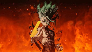 Dr. Stone