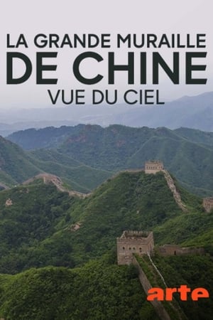 Póster de la película One man's mission to walk the Great Wall of China with a drone