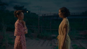 遠い山なみの光