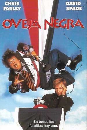 Póster de la película Oveja negra