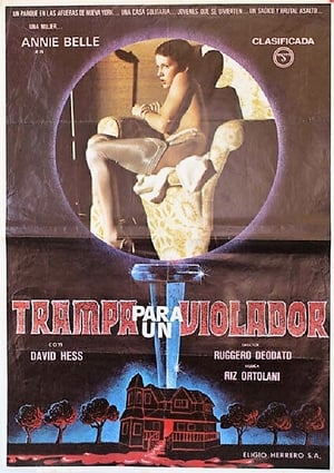 Póster de la película Trampa para un violador