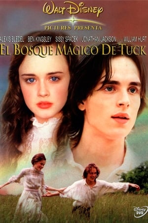 Póster de la película El bosque mágico de Tuck