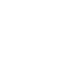The Wedding Guest