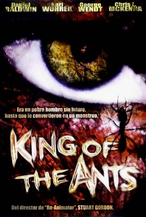 Póster de la película King of the Ants