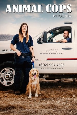 watch animal cops: phoenix tv show poster