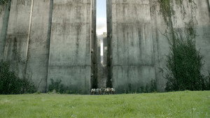 Maze Runner - Die Auserwählten im Labyrinth