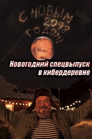 Póster de la película Russian Cyberfarm New Year Special