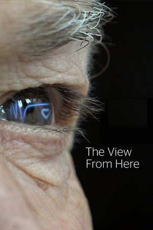 watch the view from here tv show poster