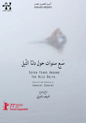 Seven Years Around the Nile Delta