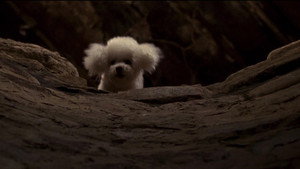 The Silence of the Lambs