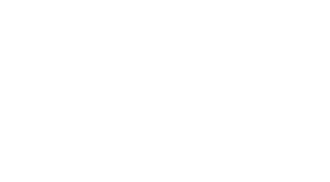 Juego de gemelas