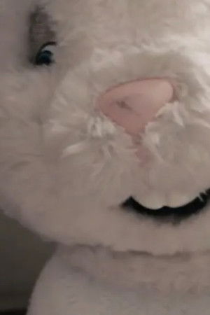 Default Netflix logo