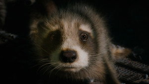 Guardians of the Galaxy Vol. 3