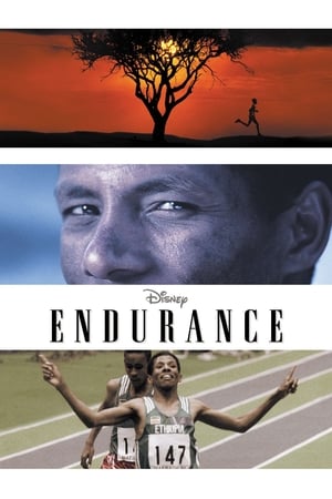 Póster de la película Endurance