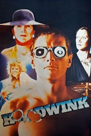 Póster de la película Hoodwink