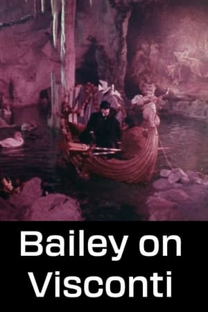 Póster de la película Bailey on Visconti