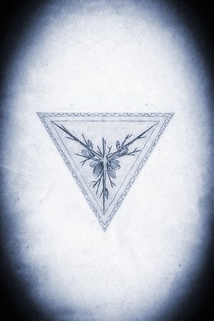 Spirits