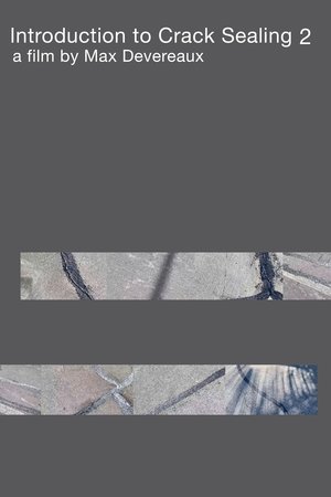 Introduction to Crack Sealing 2