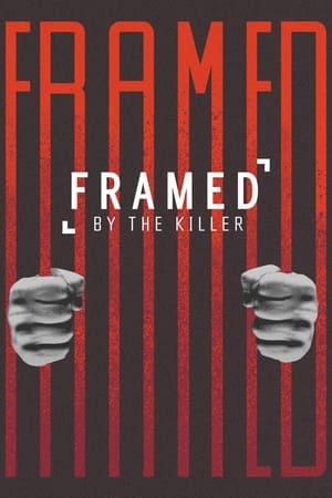 watch framed by the killer tv show poster