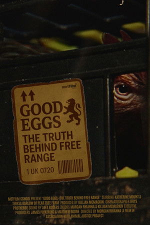Good Eggs