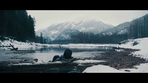 The Grey