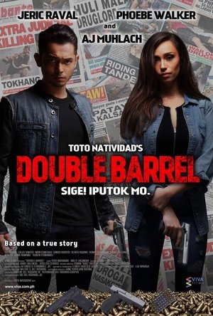 Póster de la película Double Barrel