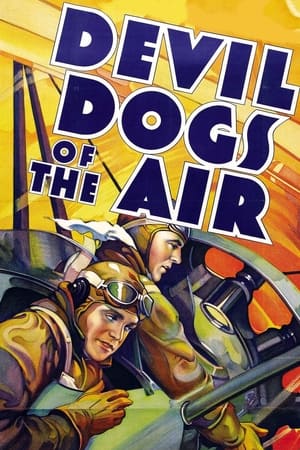 Póster de la película Devil Dogs of the Air