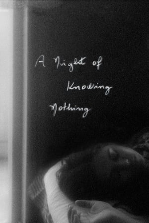 Póster de la película A Night of Knowing Nothing