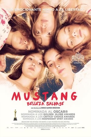 Póster de la película Mustang