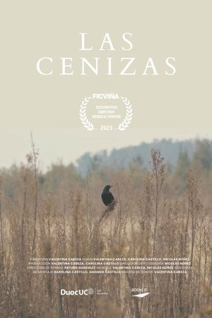 Póster de la película Las Cenizas