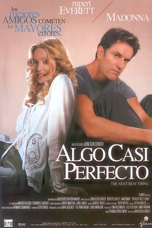 Póster de la película Algo casi perfecto
