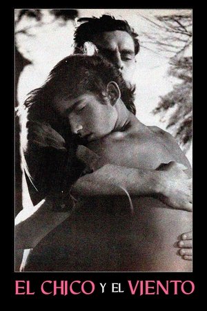 Póster de la película El chico y el viento