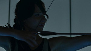 The Hunger Games: Catching Fire