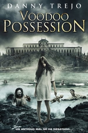 Póster de la película Posesión vudú