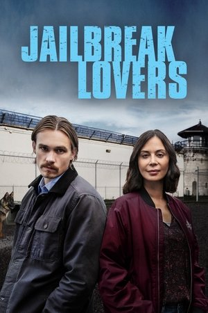 Póster de la película Jailbreak Lovers