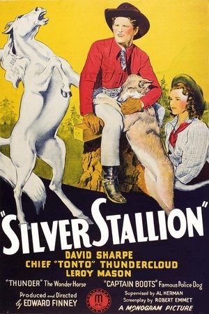 Póster de la película Silver Stallion