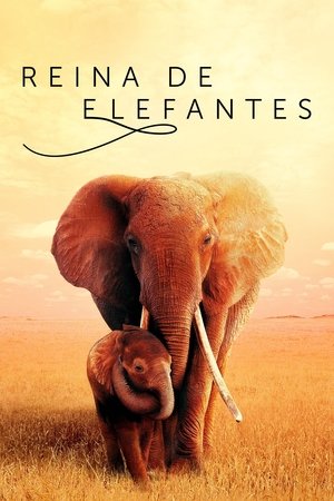 Póster de la película Reina de elefantes