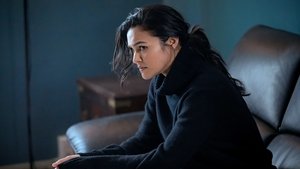 Imagem Law & Order: Crime Organizado (5x6) 15 maio 2025