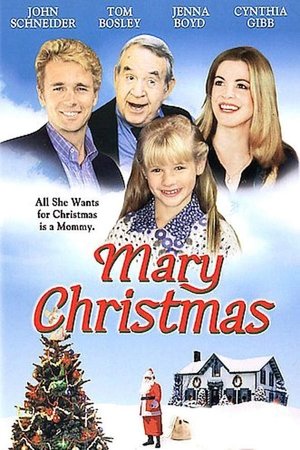 Póster de la película Mary Christmas