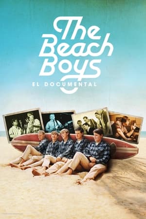 Póster de la película The Beach Boys, el documental